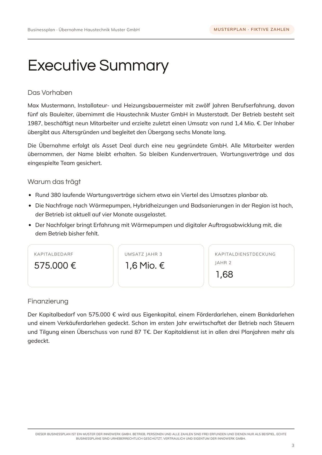 Musterplan-Seite mit Vorhaben, Kennzahlen zu Kapitalbedarf, Umsatz und Kapitaldienstdeckung sowie der Finanzierung