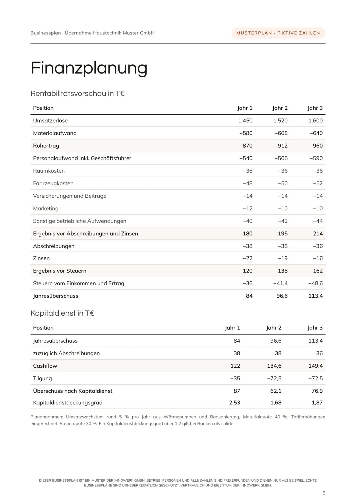 Seite aus dem Musterplan mit Rentabilitätsvorschau über drei Jahre